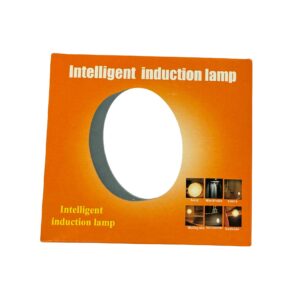 LED Intelligent Induction Lamp