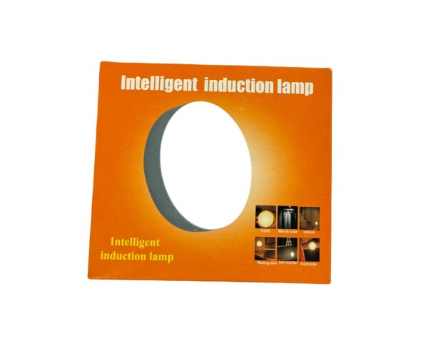LED Intelligent Induction Lamp