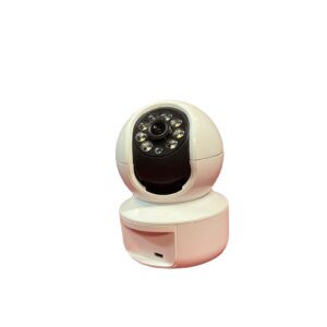 Cloud Storage Intelligent Camera